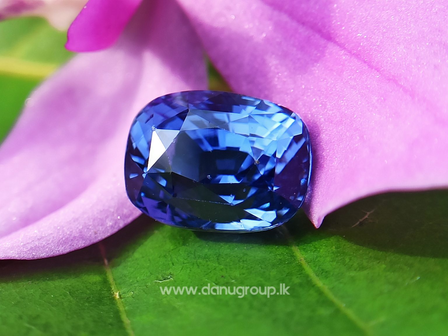 High Quality Ceylon Natural Cornflower Blue Sapphire Cushion Shape Unheated Stone from Danu Group Mining - danugroup.lk