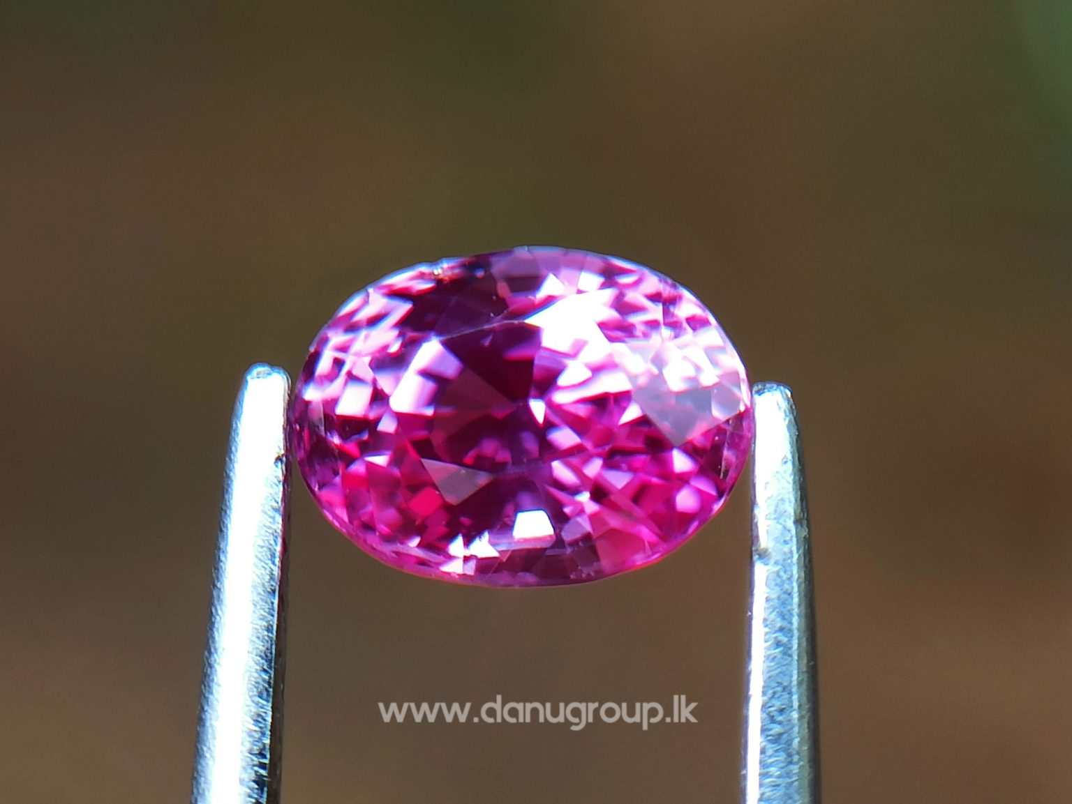 Remarkable Pink Colour In Ceylon Sapphire - Vivid Pink sapphire from Danu Group high quality ceylon sapphire - danugroup.lk