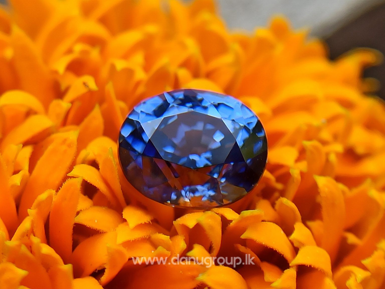 Ceylon Natural Vivid Blue Sapphire High Quality Blue Sapphire - danugroup.lk