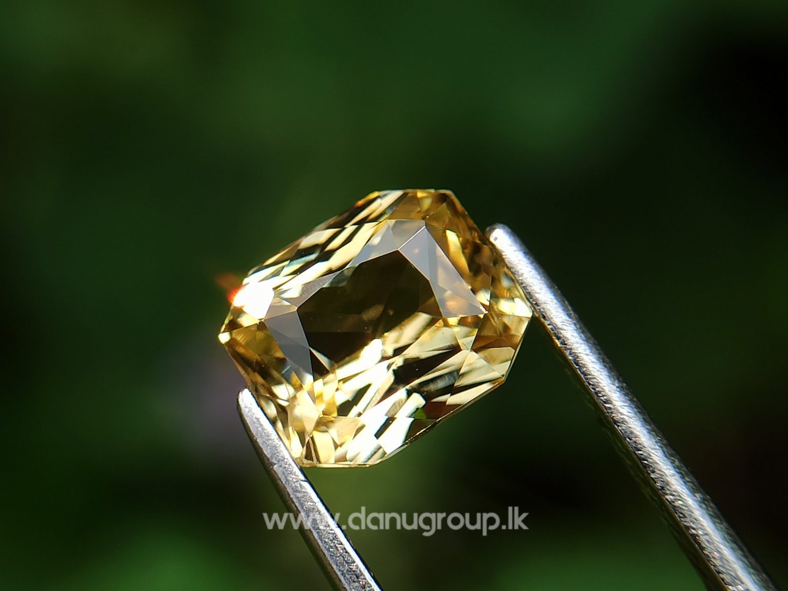 Ceylon Natural Vivid Yellow Sapphire Scissors Cut High Quality Gemstone with Brilliance Lustre - danugroup.lk