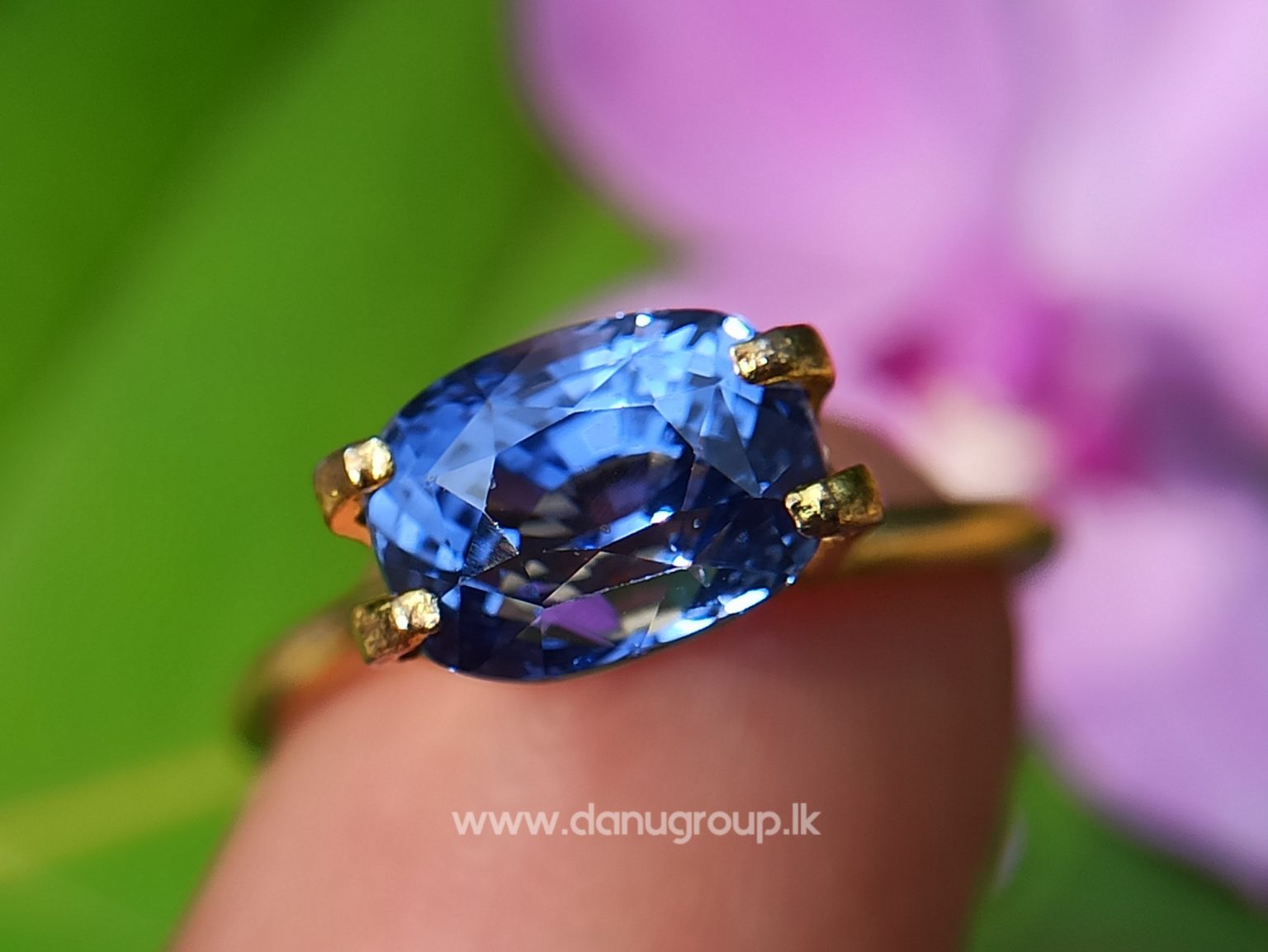 High Quality Ceylon Natural Cornflower Blue Sapphire Cushion Shape Unheated Stone from Danu Group Mining - danugroup.lk