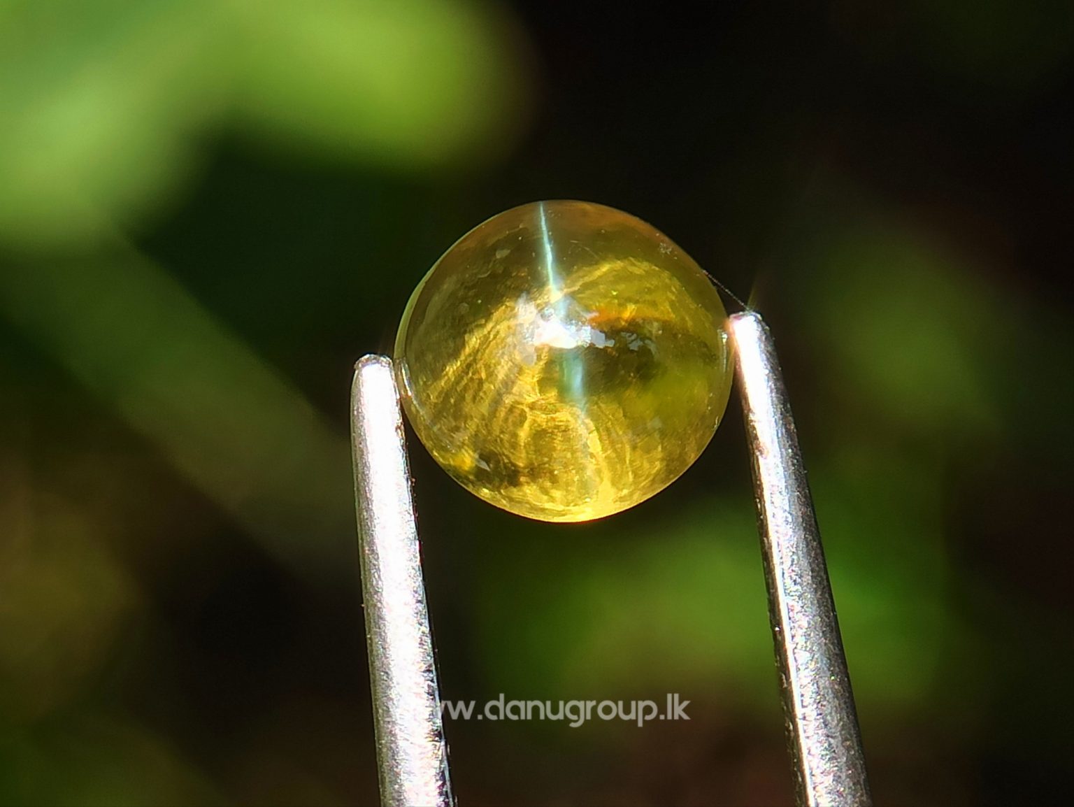 Ceylon Natural Chrysoberyl Cats eye from Danu Group