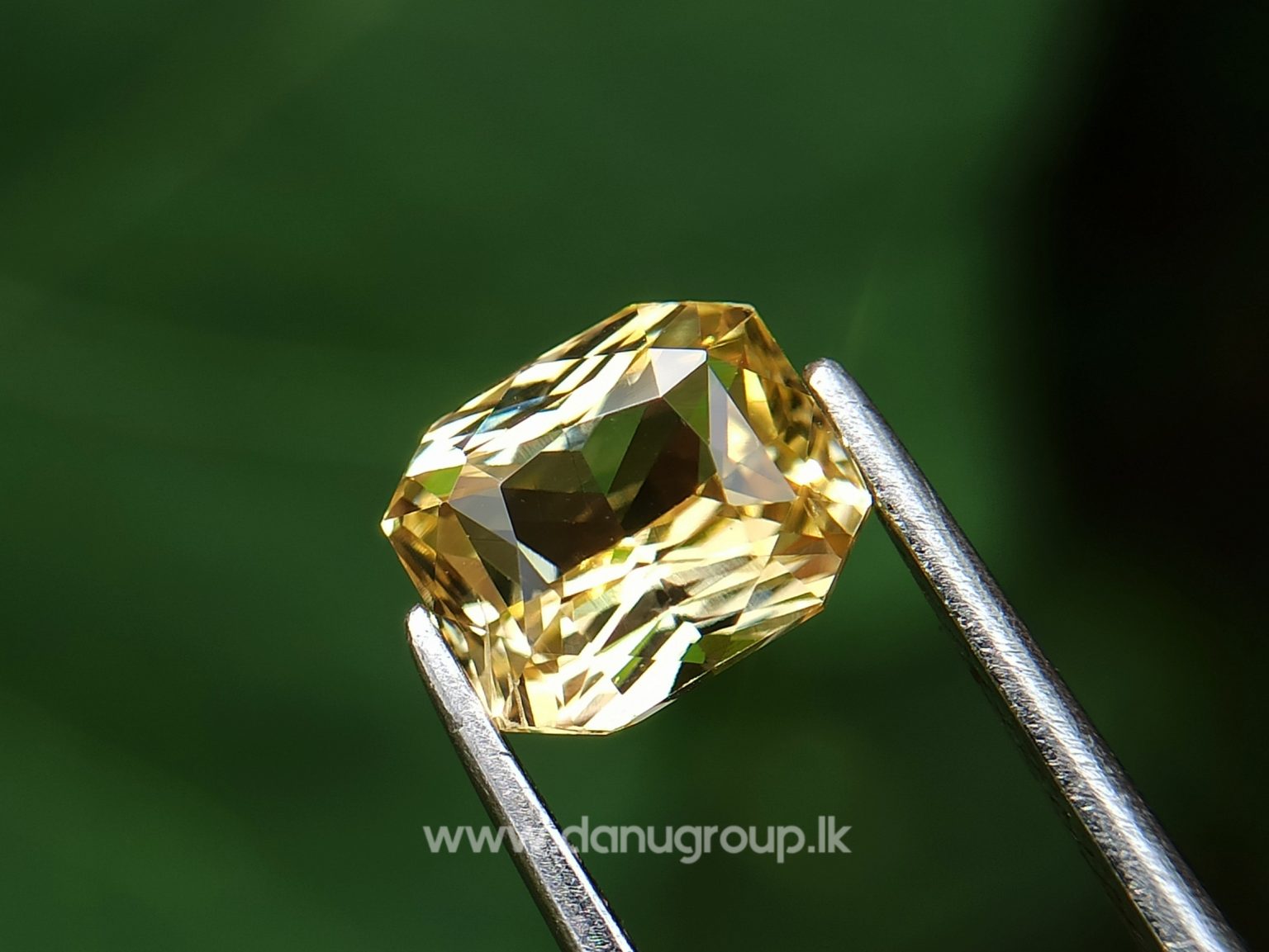 Ceylon Natural Vivid Yellow Sapphire Scissors Cut High Quality Gemstone with Brilliance Lustre - danugroup.lk