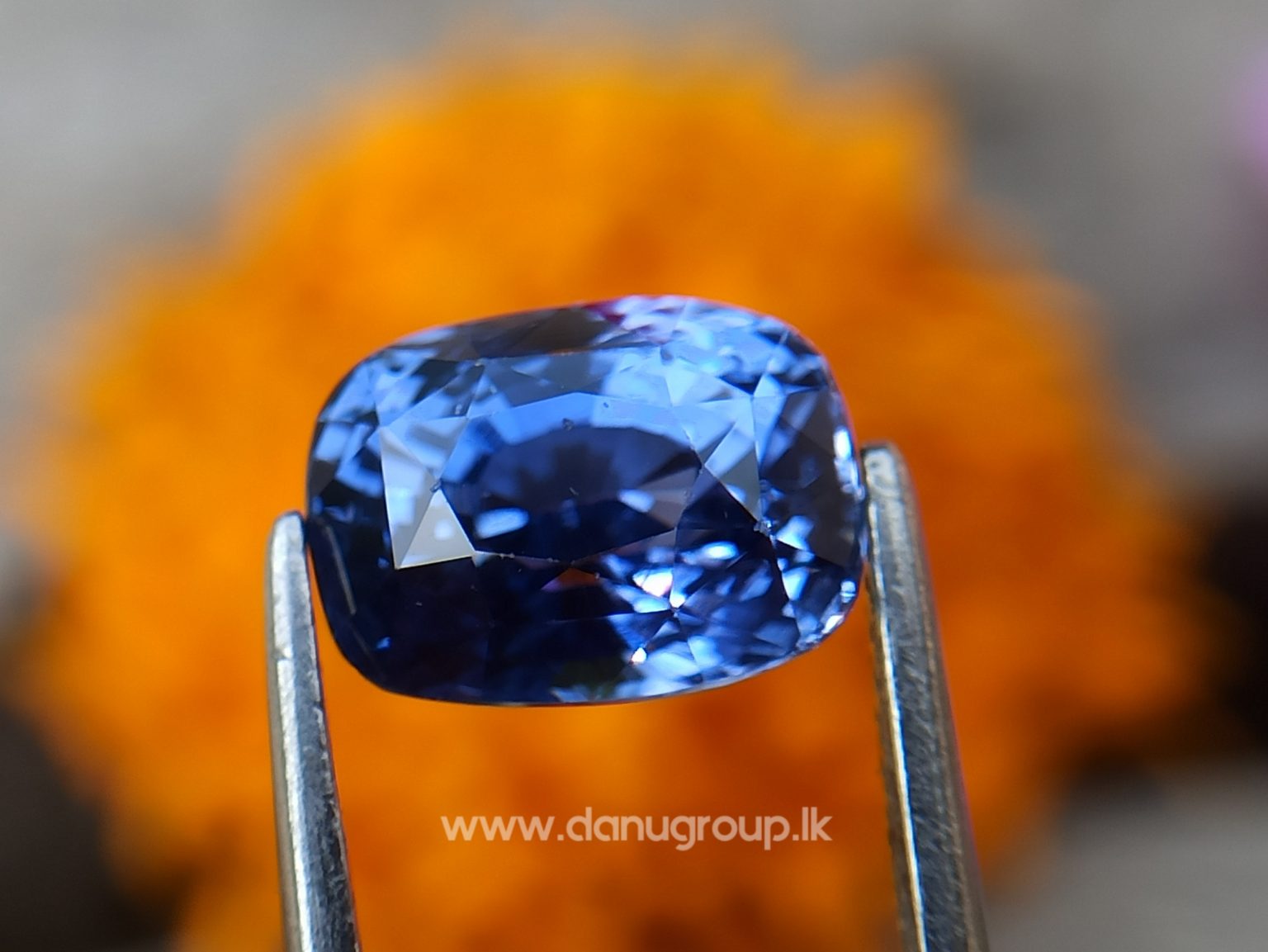 High Quality Ceylon Natural Cornflower Blue Sapphire Cushion Shape Unheated Stone from Danu Group Mining - danugroup.lk