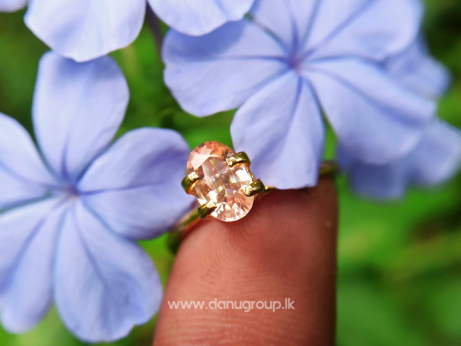 King of Sapphire - Ceylon Natural Pinkish Orange padparadscha sapphire from Danu Group danugroup.lk