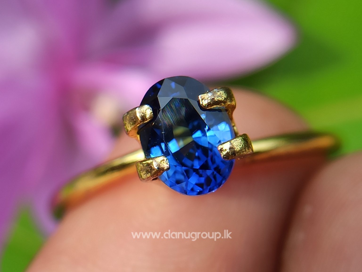 Remarkable Royal blue Colour in Sapphire - Vivid Royal Blue Sapphire Oval shape gem from Danu Group - danugroup.lk