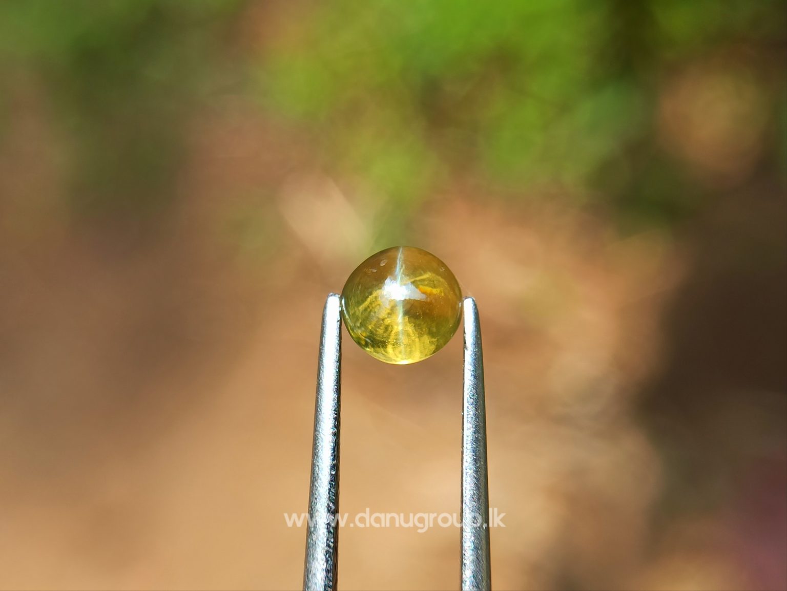 Ceylon Natural Chrysoberyl Cats eye from Danu Group