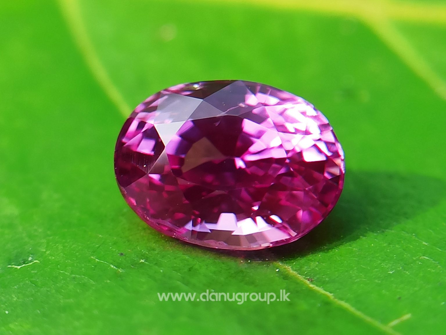 Remarkable Pink Colour In Ceylon Sapphire - Vivid Pink sapphire from Danu Group high quality ceylon sapphire - danugroup.lk