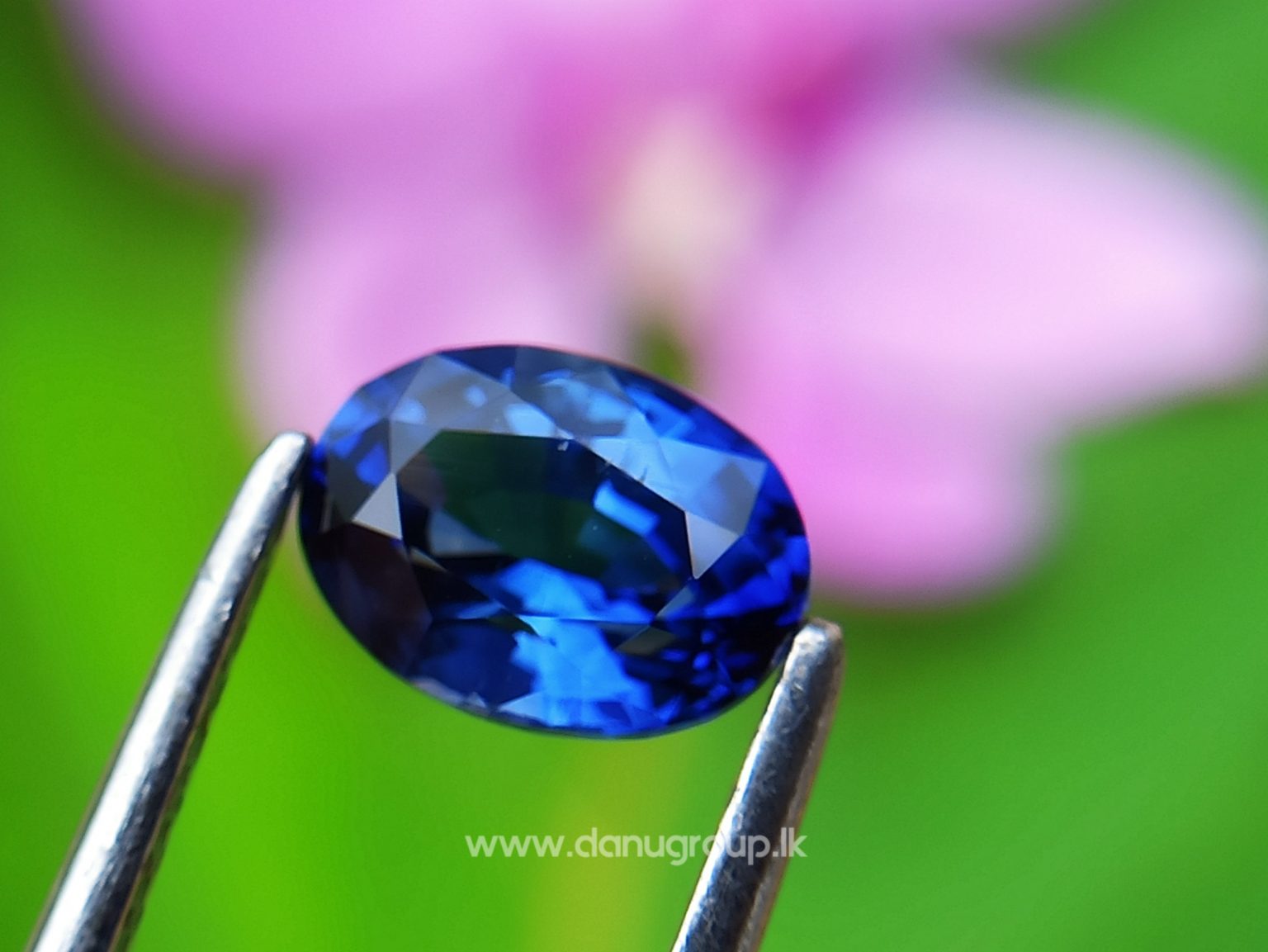 Remarkable Royal blue Colour in Sapphire - Vivid Royal Blue Sapphire Oval shape gem from Danu Group - danugroup.lk
