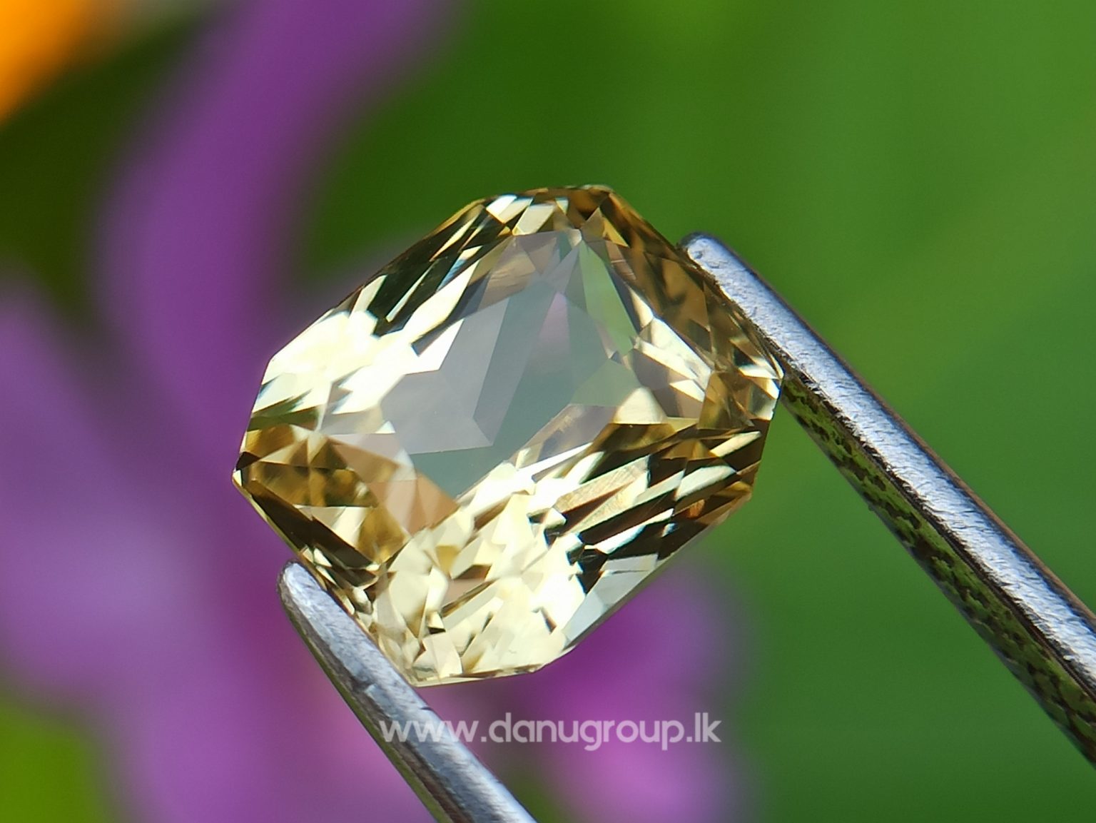 Ceylon Natural Vivid Yellow Sapphire Scissors Cut High Quality Gemstone with Brilliance Lustre - danugroup.lk