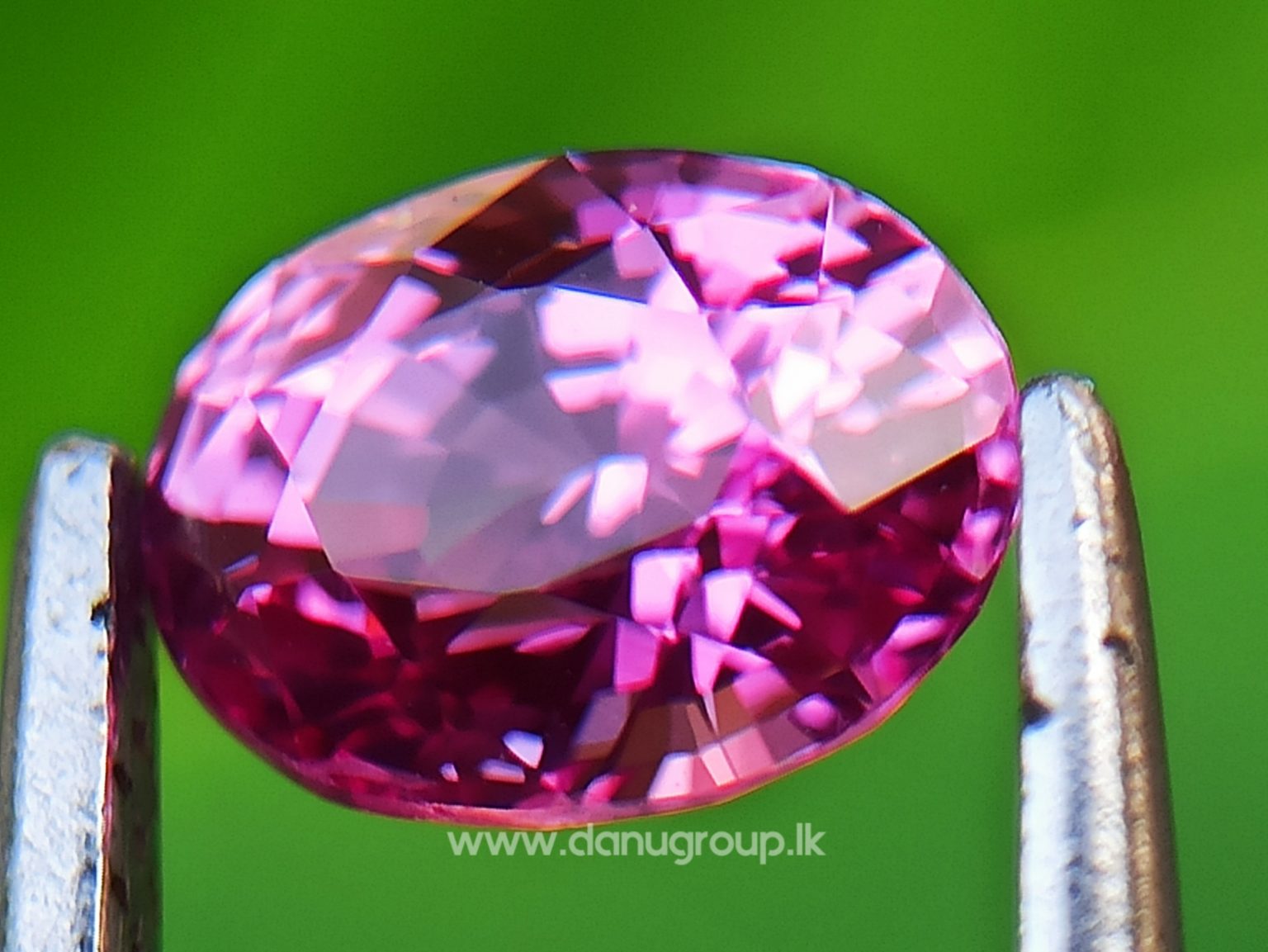Remarkable Pink Colour In Ceylon Sapphire - Vivid Pink sapphire from Danu Group high quality ceylon sapphire - danugroup.lk