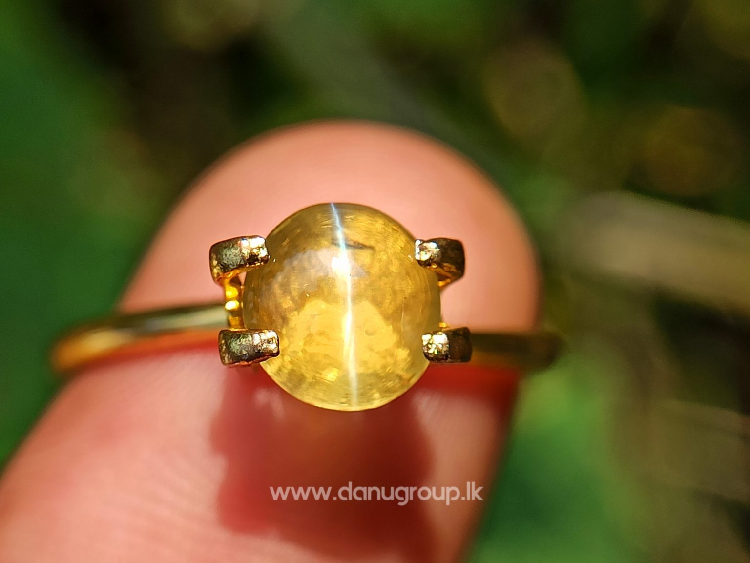 Ceylon natural chrysoberyl cats eye from Danu Group high quality glass body transparent Quality cats eye