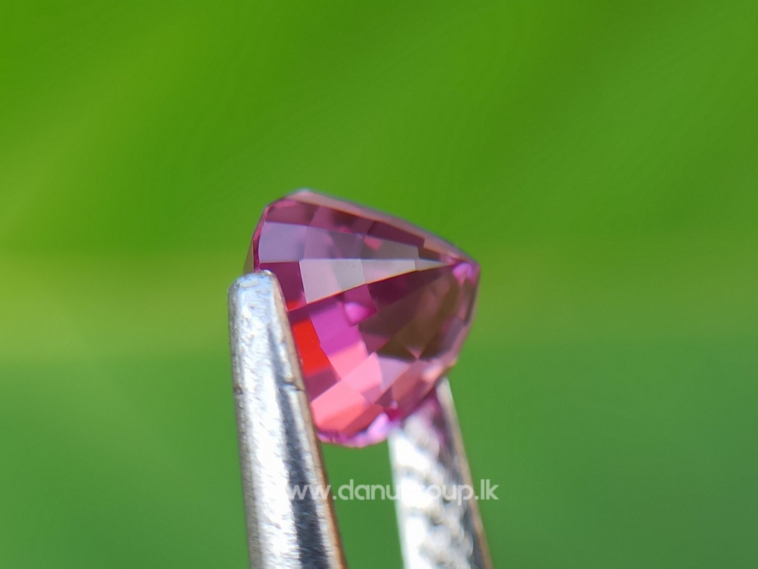 Remarkable Pink Colour In Ceylon Sapphire - Vivid Pink sapphire from Danu Group high quality ceylon sapphire - danugroup.lk