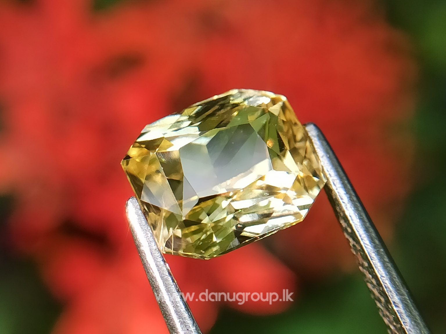 Ceylon Natural Vivid Yellow Sapphire Scissors Cut High Quality Gemstone with Brilliance Lustre - danugroup.lk