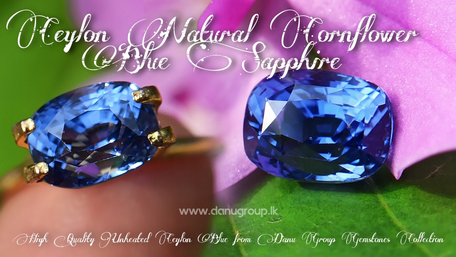 High Quality Ceylon Natural Cornflower Blue Sapphire Cushion Shape Unheated Stone from Danu Group Mining - danugroup.lk