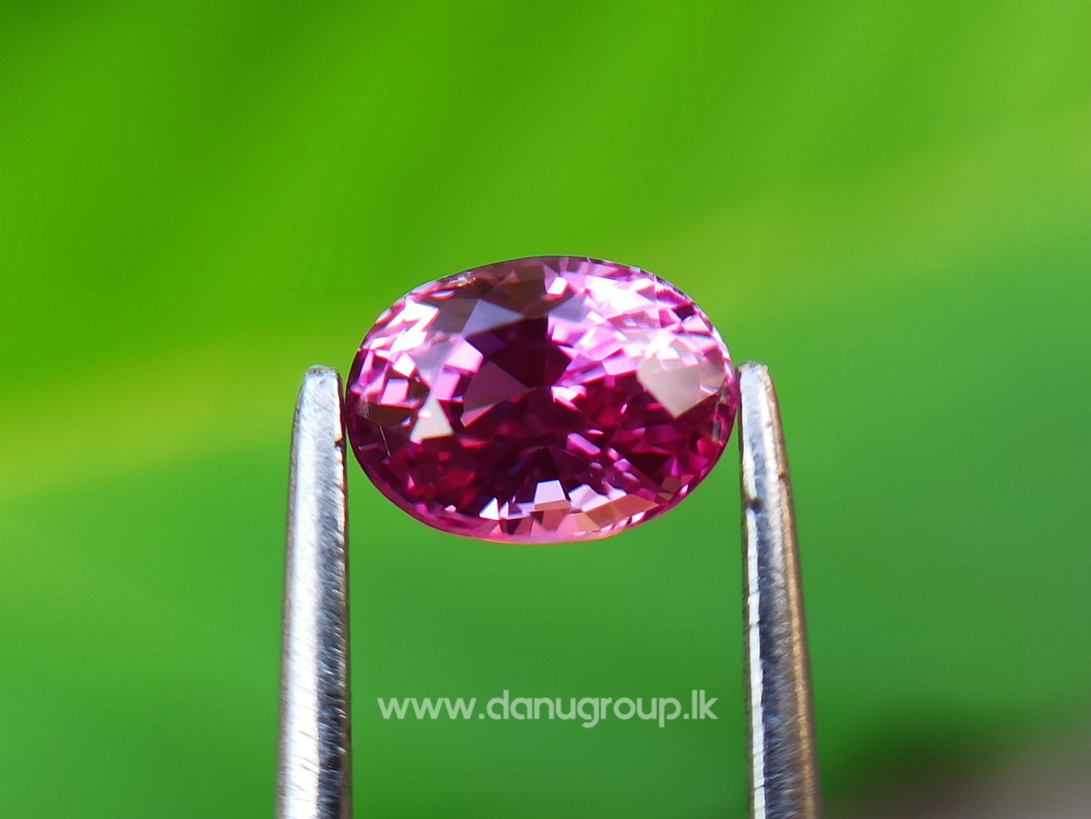Remarkable Pink Colour In Ceylon Sapphire - Vivid Pink sapphire from Danu Group high quality ceylon sapphire - danugroup.lk