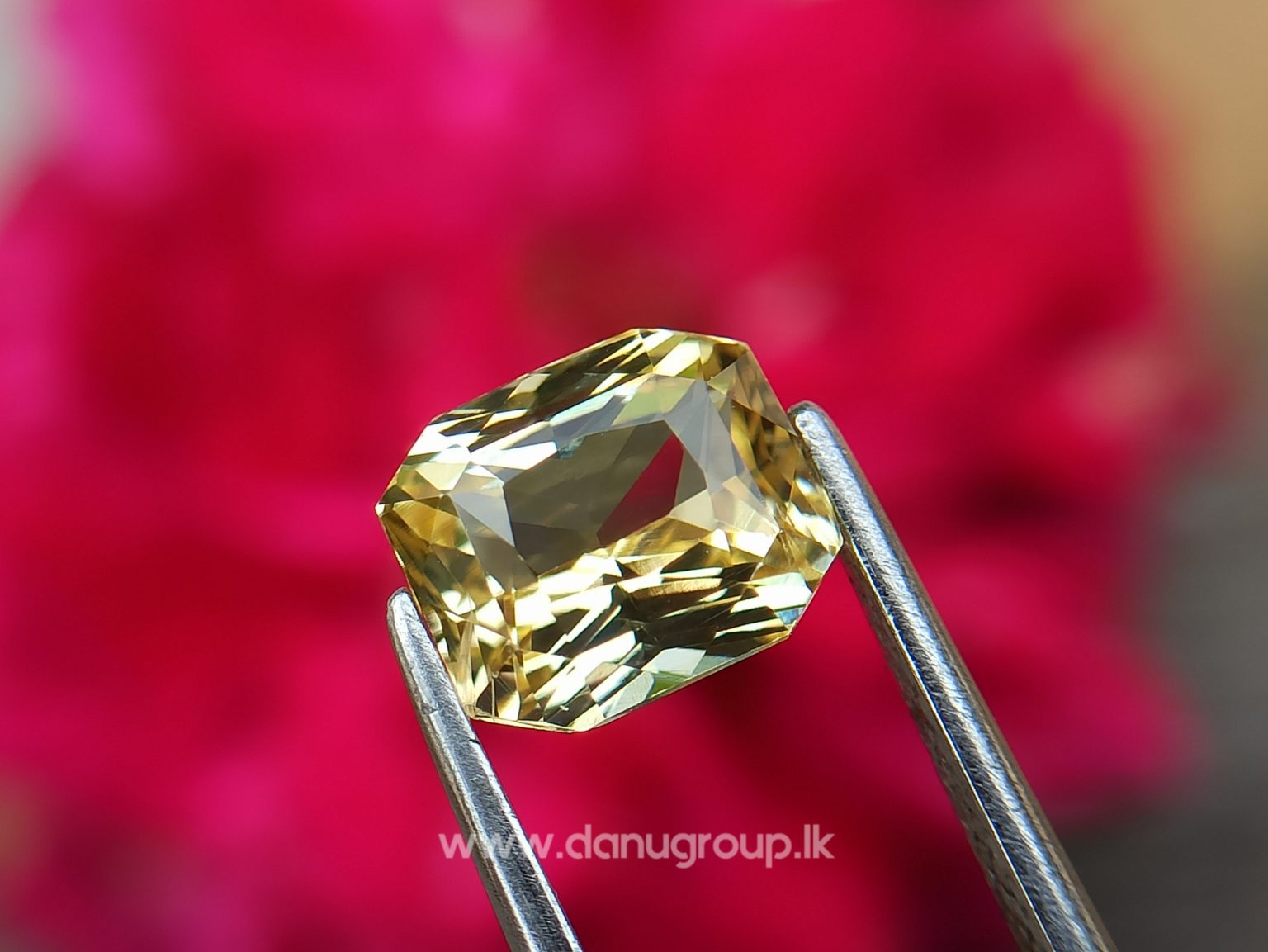 Ceylon Natural Vivid Yellow Sapphire Scissors Cut High Quality Gemstone with Brilliance Lustre - danugroup.lk