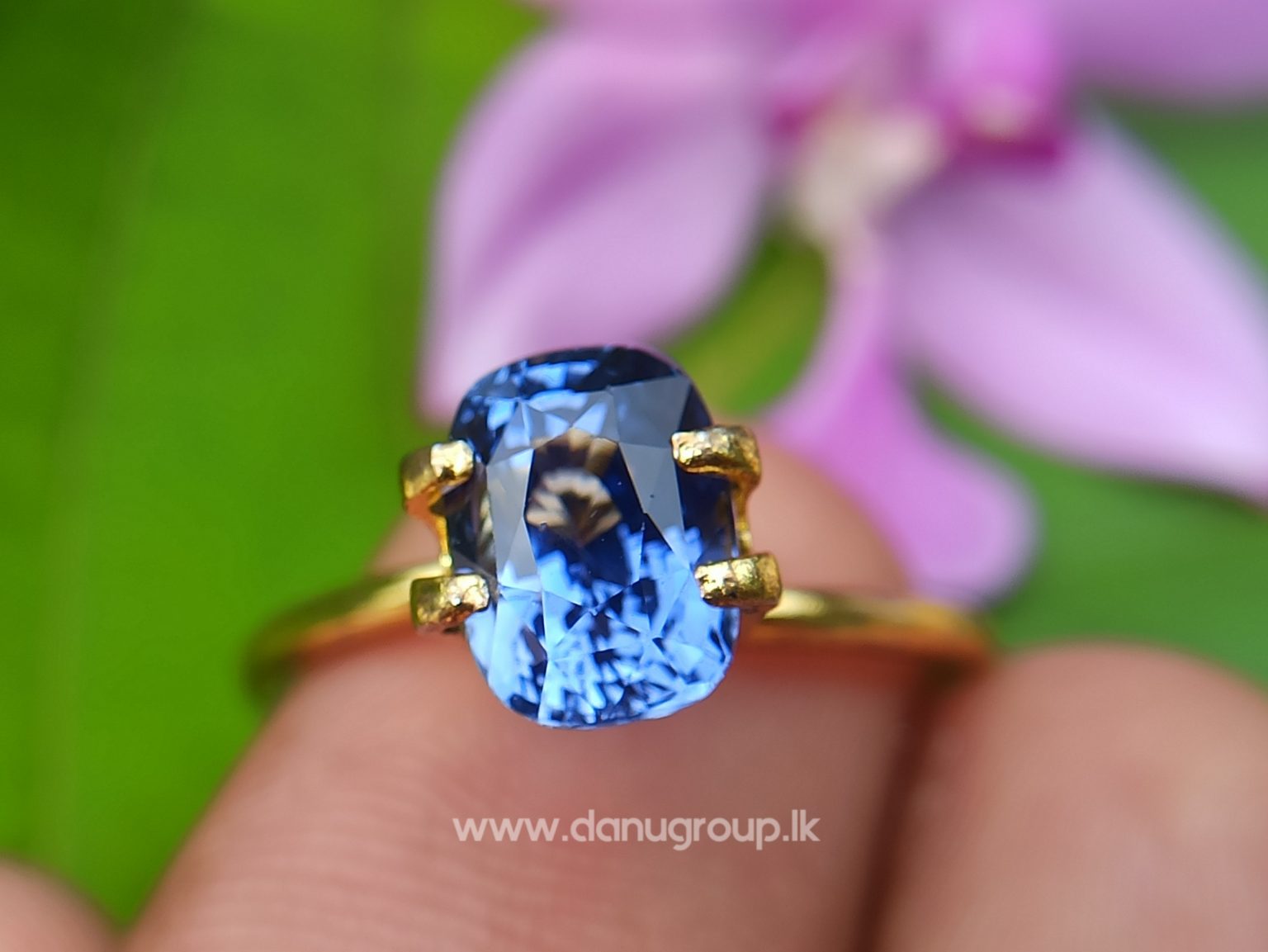 High Quality Ceylon Natural Cornflower Blue Sapphire Cushion Shape Unheated Stone from Danu Group Mining - danugroup.lk