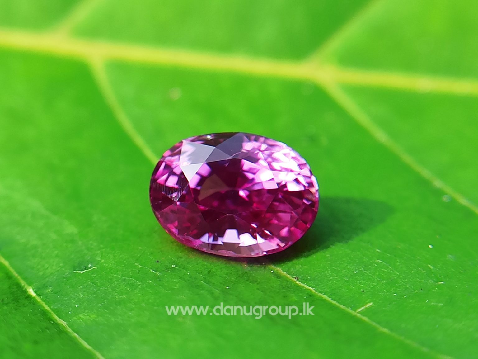 Remarkable Pink Colour In Ceylon Sapphire - Vivid Pink sapphire from Danu Group high quality ceylon sapphire - danugroup.lk
