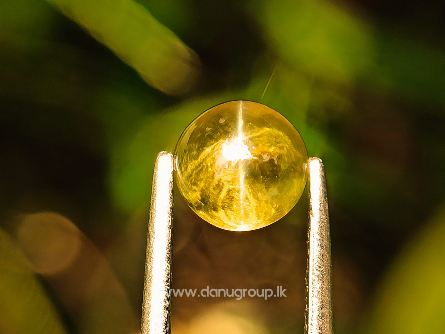 Ceylon Natural Chrysoberyl Cats eye from Danu Group