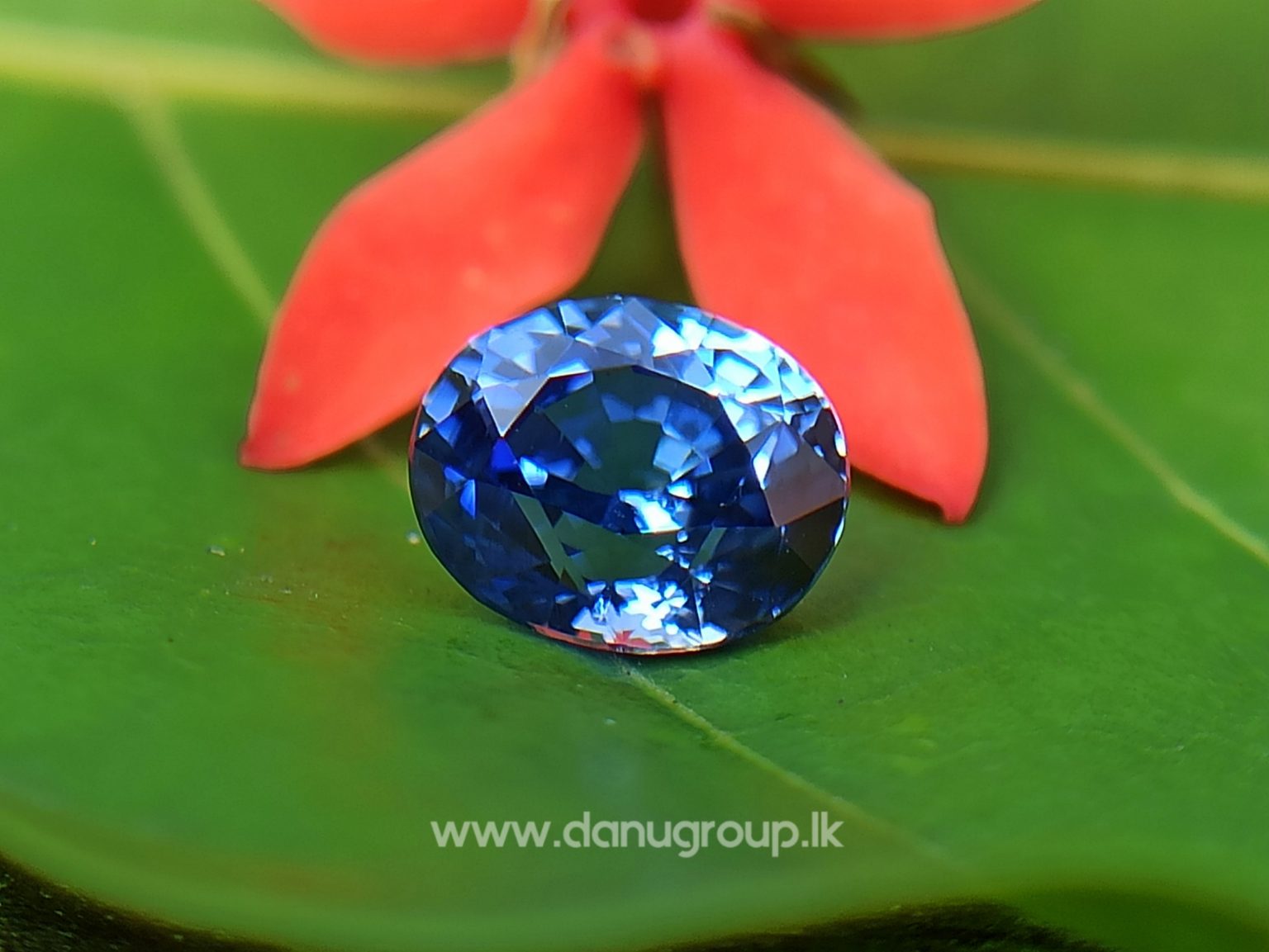 Ceylon Natural Vivid Blue Sapphire High Quality Blue Sapphire - danugroup.lk