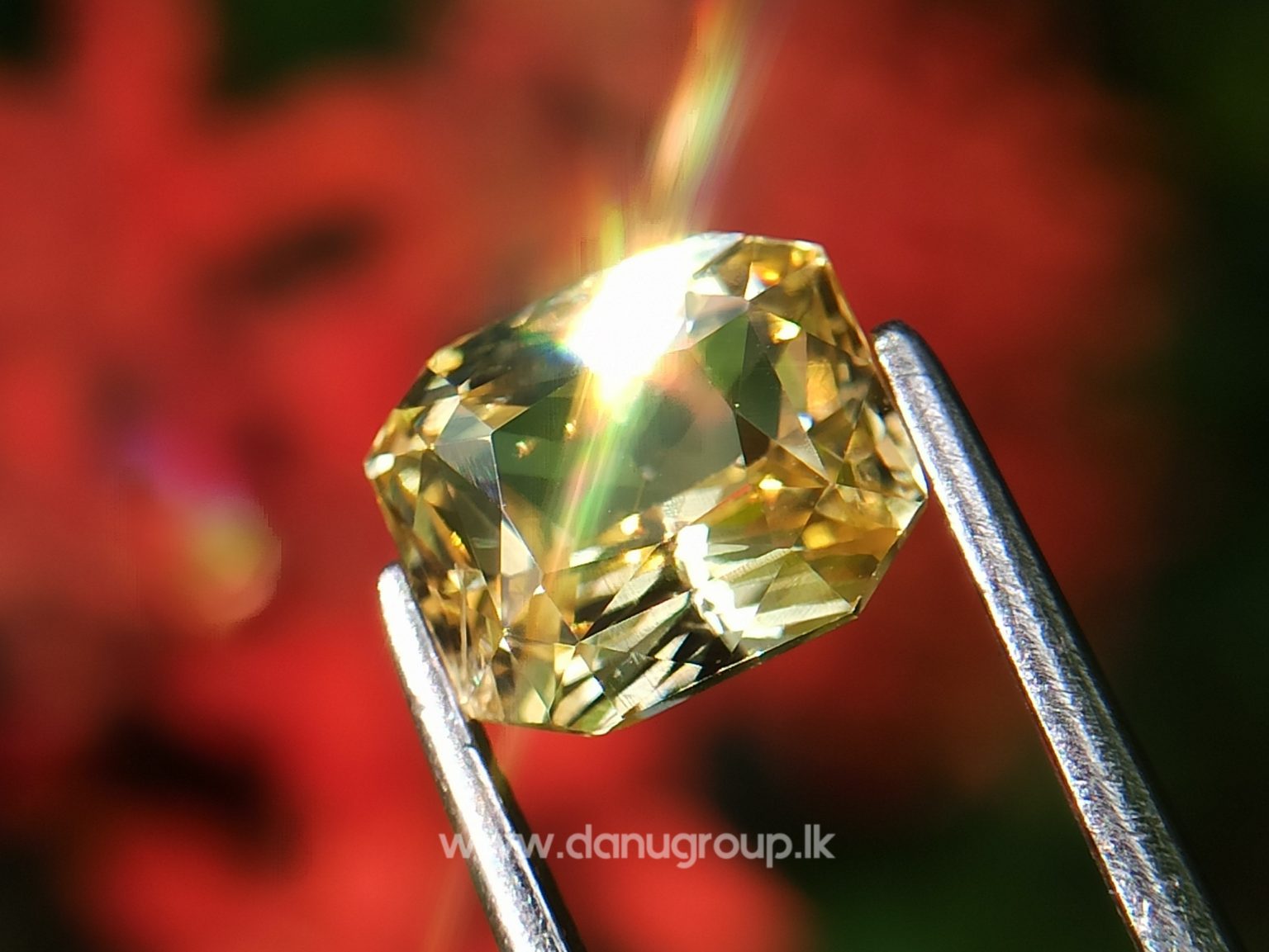 Ceylon Natural Vivid Yellow Sapphire Scissors Cut High Quality Gemstone with Brilliance Lustre - danugroup.lk