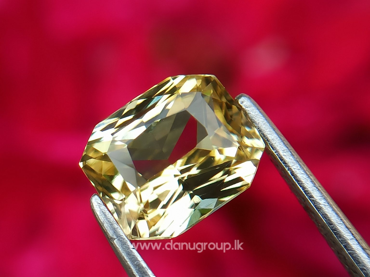 Ceylon Natural Vivid Yellow Sapphire Scissors Cut High Quality Gemstone with Brilliance Lustre - danugroup.lk