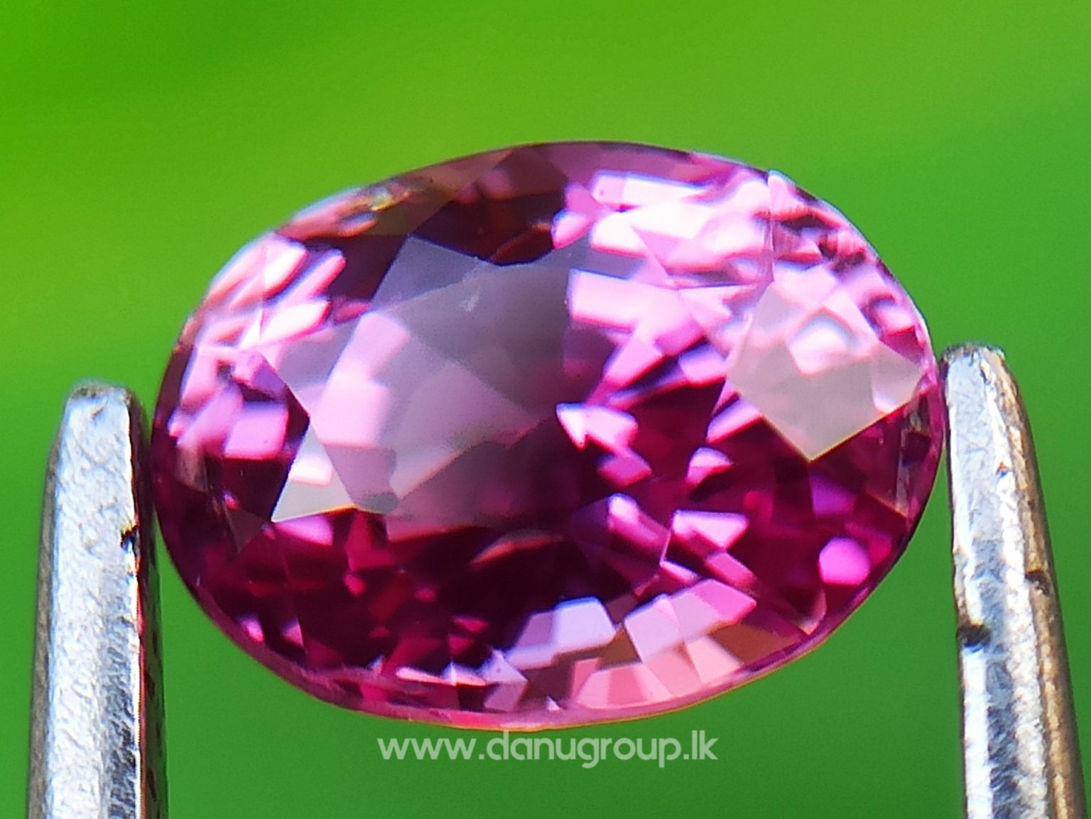 Remarkable Pink Colour In Ceylon Sapphire - Vivid Pink sapphire from Danu Group high quality ceylon sapphire - danugroup.lk