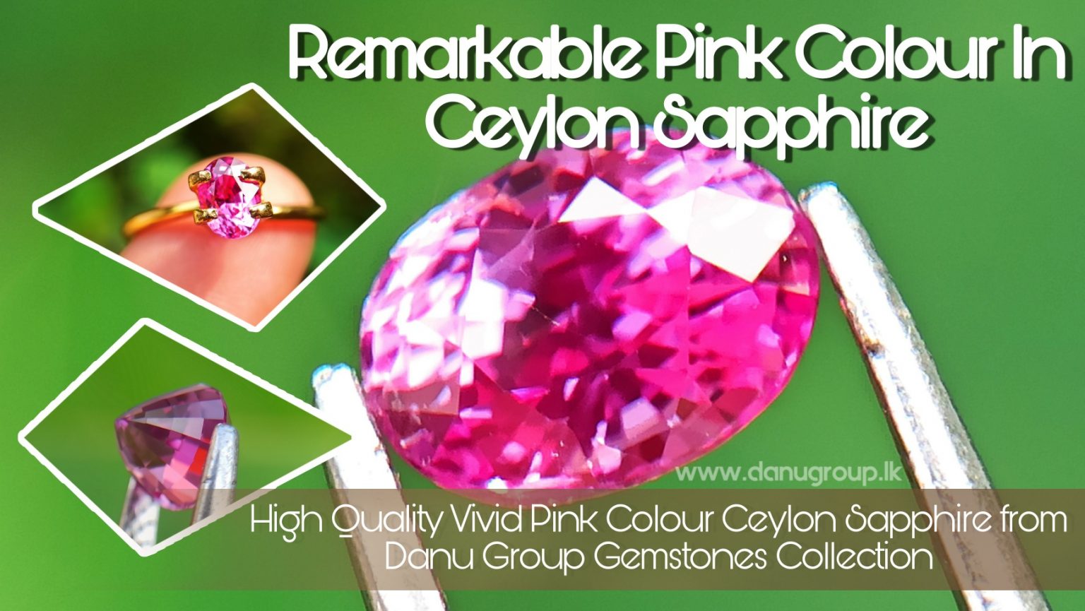 Remarkable Pink Colour In Ceylon Sapphire - Vivid Pink sapphire from Danu Group high quality ceylon sapphire - danugroup.lk