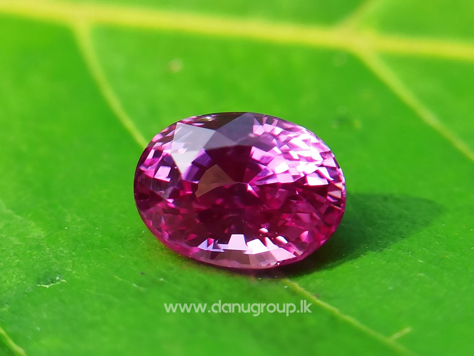 Remarkable Pink Colour In Ceylon Sapphire - Vivid Pink sapphire from Danu Group high quality ceylon sapphire - danugroup.lk
