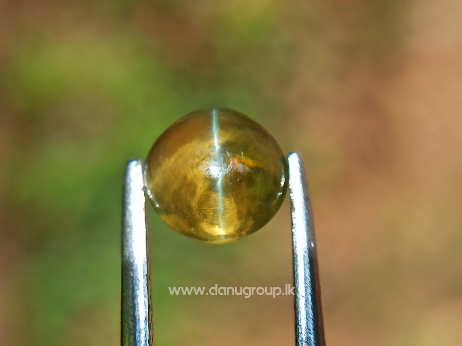Ceylon Natural Chrysoberyl Cats eye from Danu Group