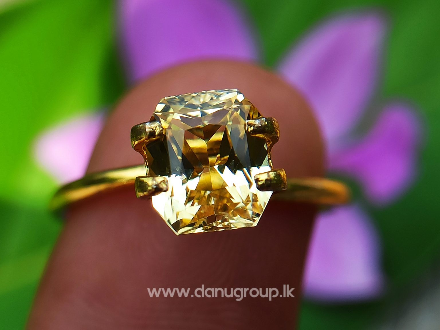Ceylon Natural Vivid Yellow Sapphire Scissors Cut High Quality Gemstone with Brilliance Lustre - danugroup.lk