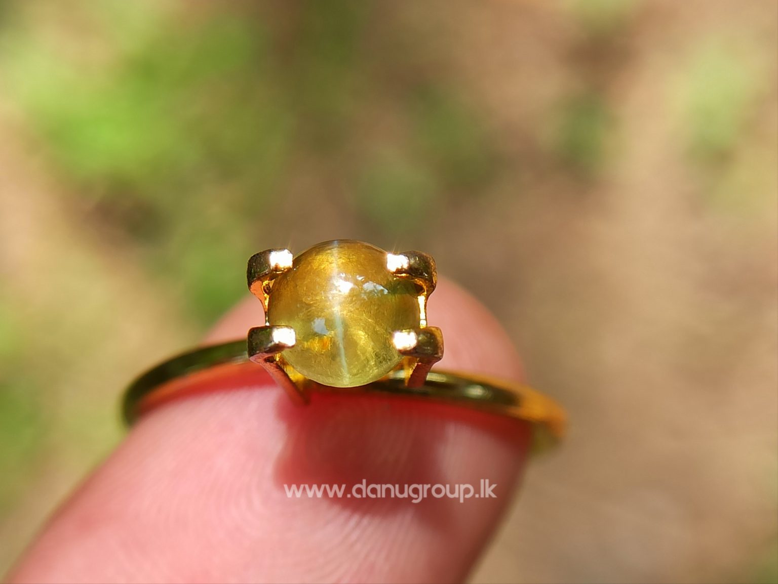Ceylon Natural Chrysoberyl Cats eye from Danu Group
