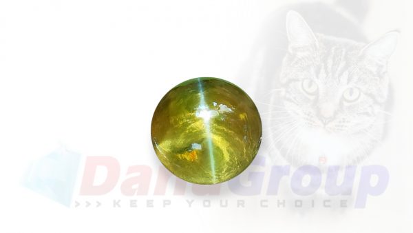 Ceylon natural chrysoberyl cats eye from Danu Group high quality glass body transparent Quality cats eye