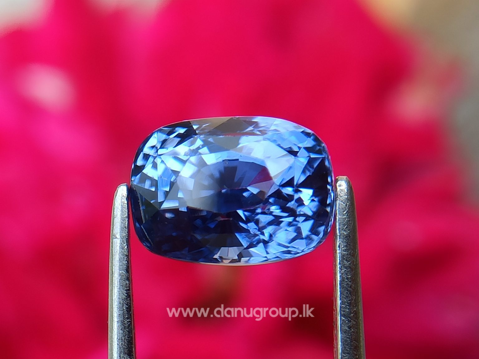 High Quality Ceylon Natural Cornflower Blue Sapphire Cushion Shape Unheated Stone from Danu Group Mining - danugroup.lk