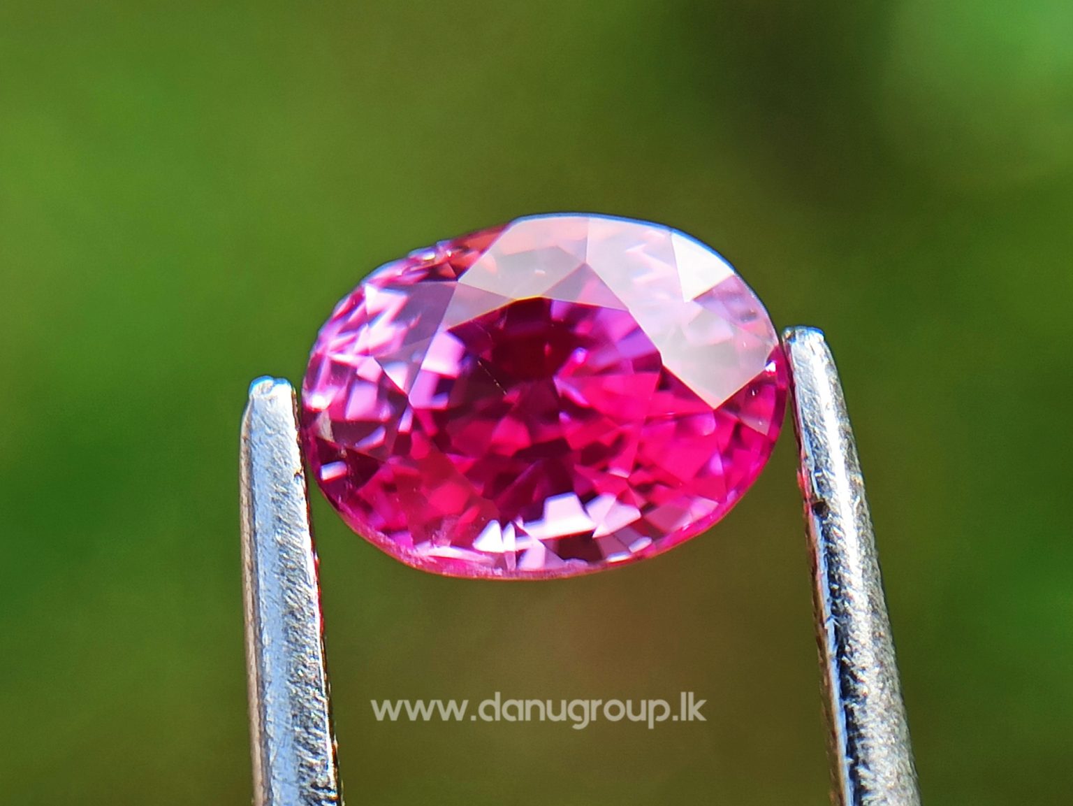 Remarkable Pink Colour In Ceylon Sapphire - Vivid Pink sapphire from Danu Group high quality ceylon sapphire - danugroup.lk