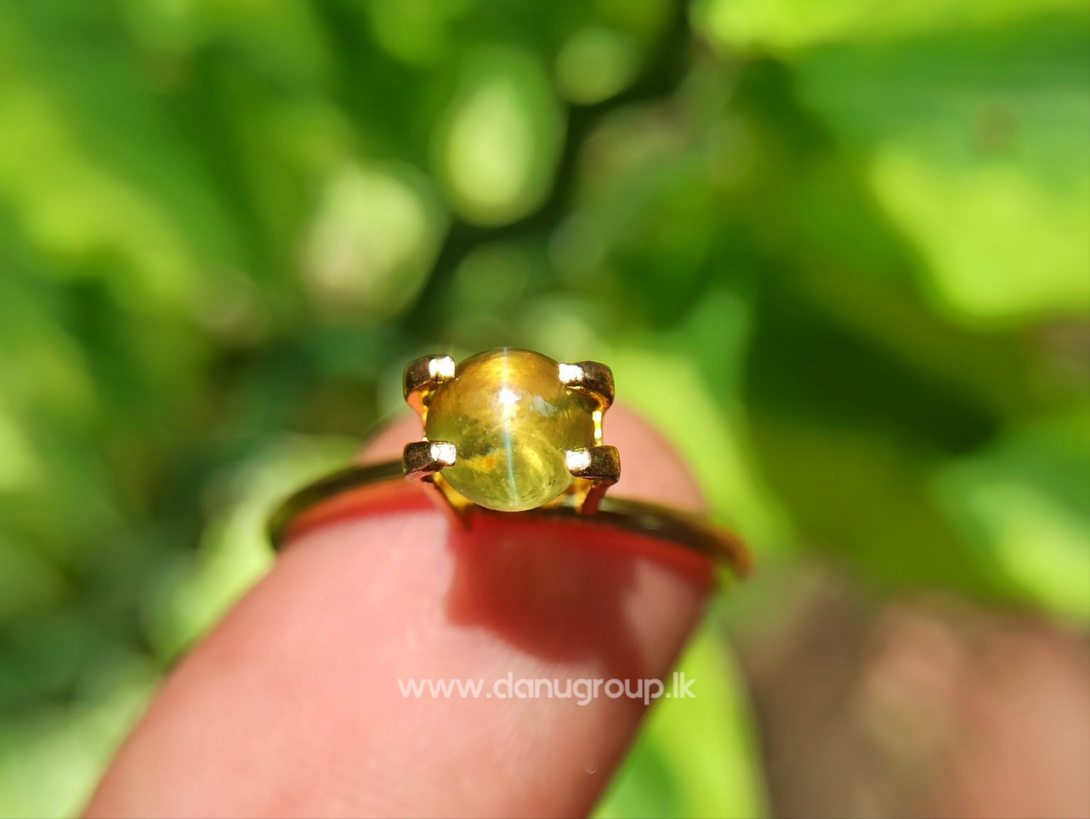 Ceylon Natural Chrysoberyl Cats eye from Danu Group