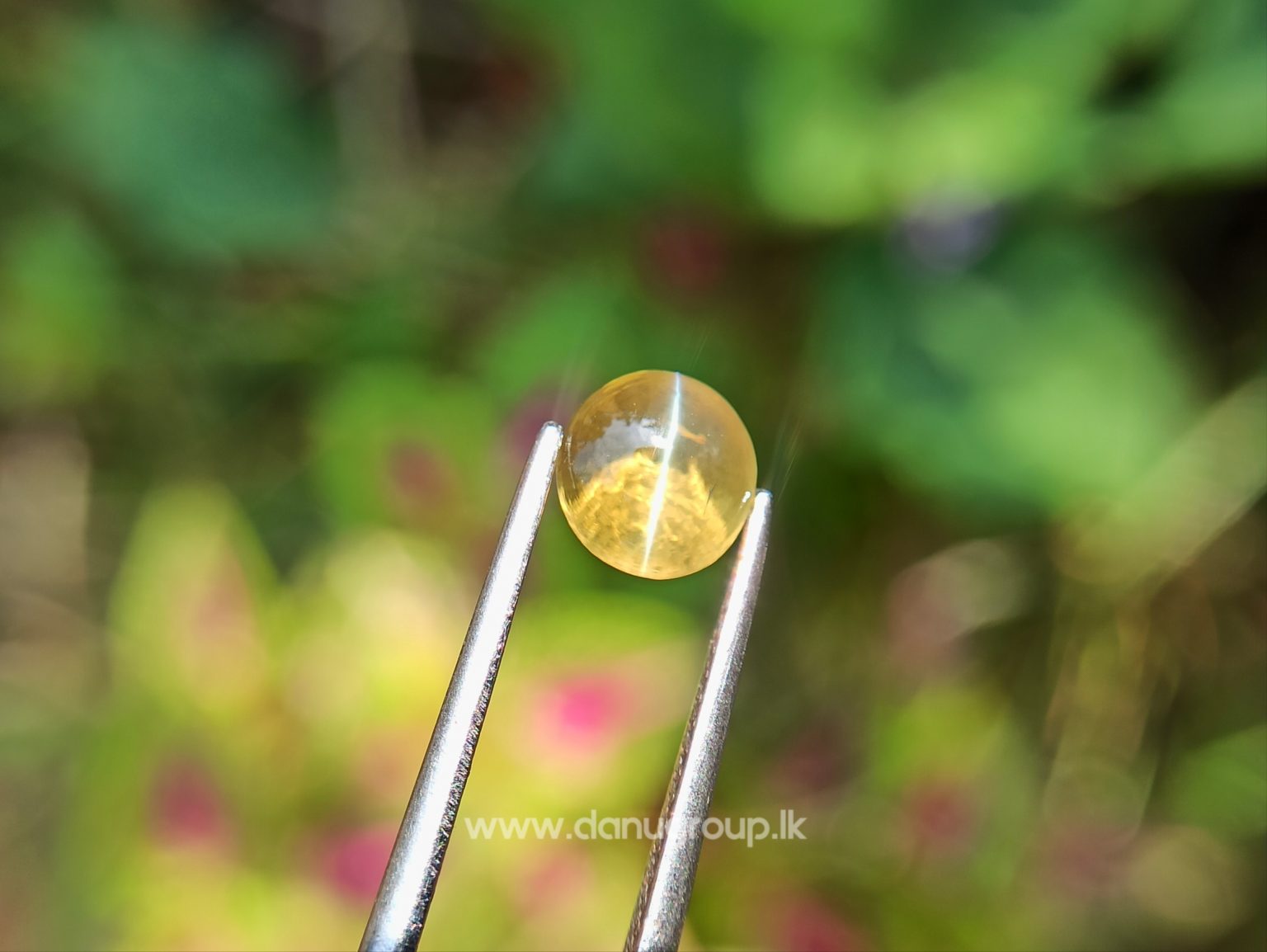 Ceylon Natural High Quality Chrysoberyl Cats Eye from Danu Group