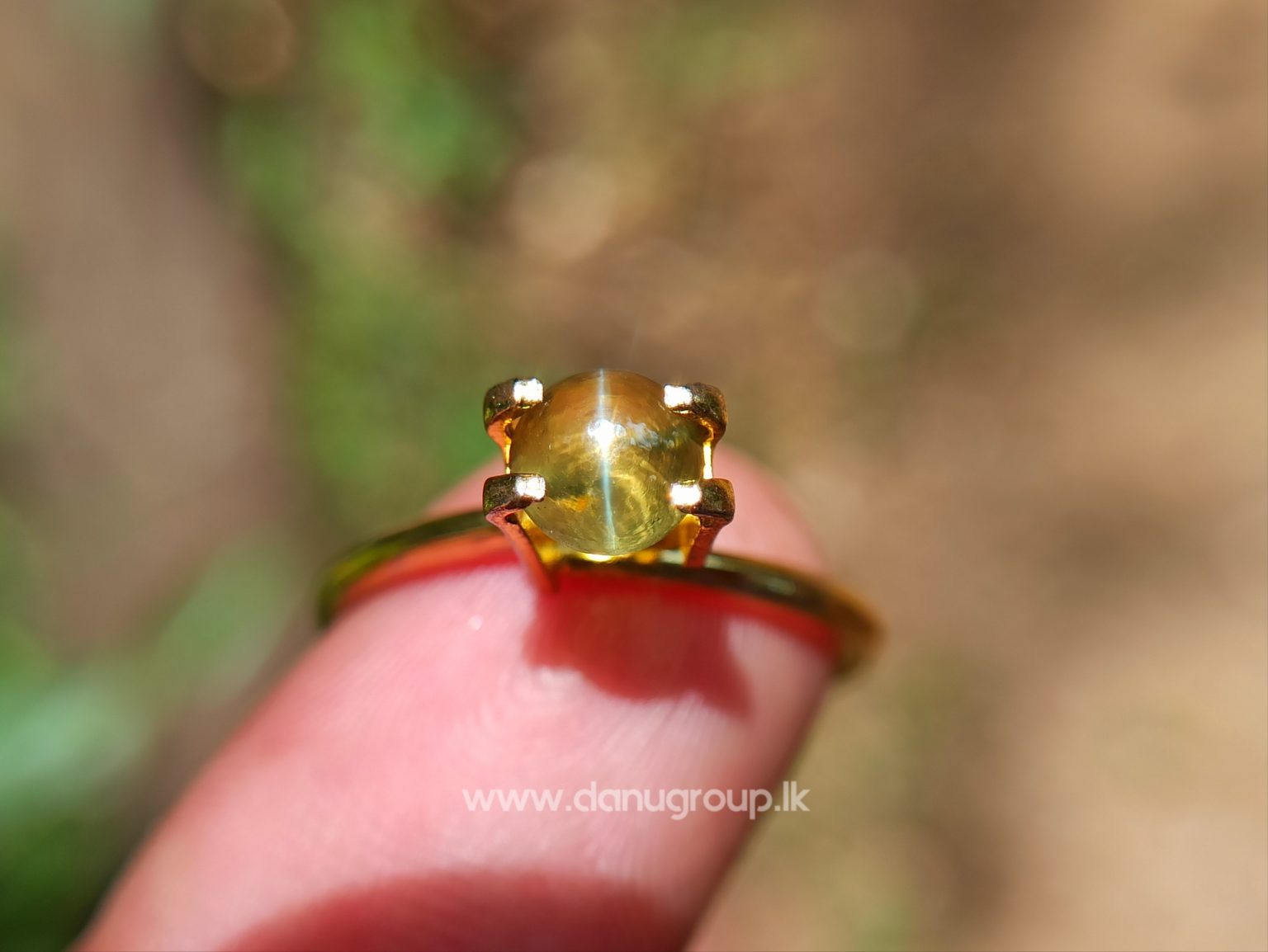 Ceylon Natural Chrysoberyl Cats eye from Danu Group