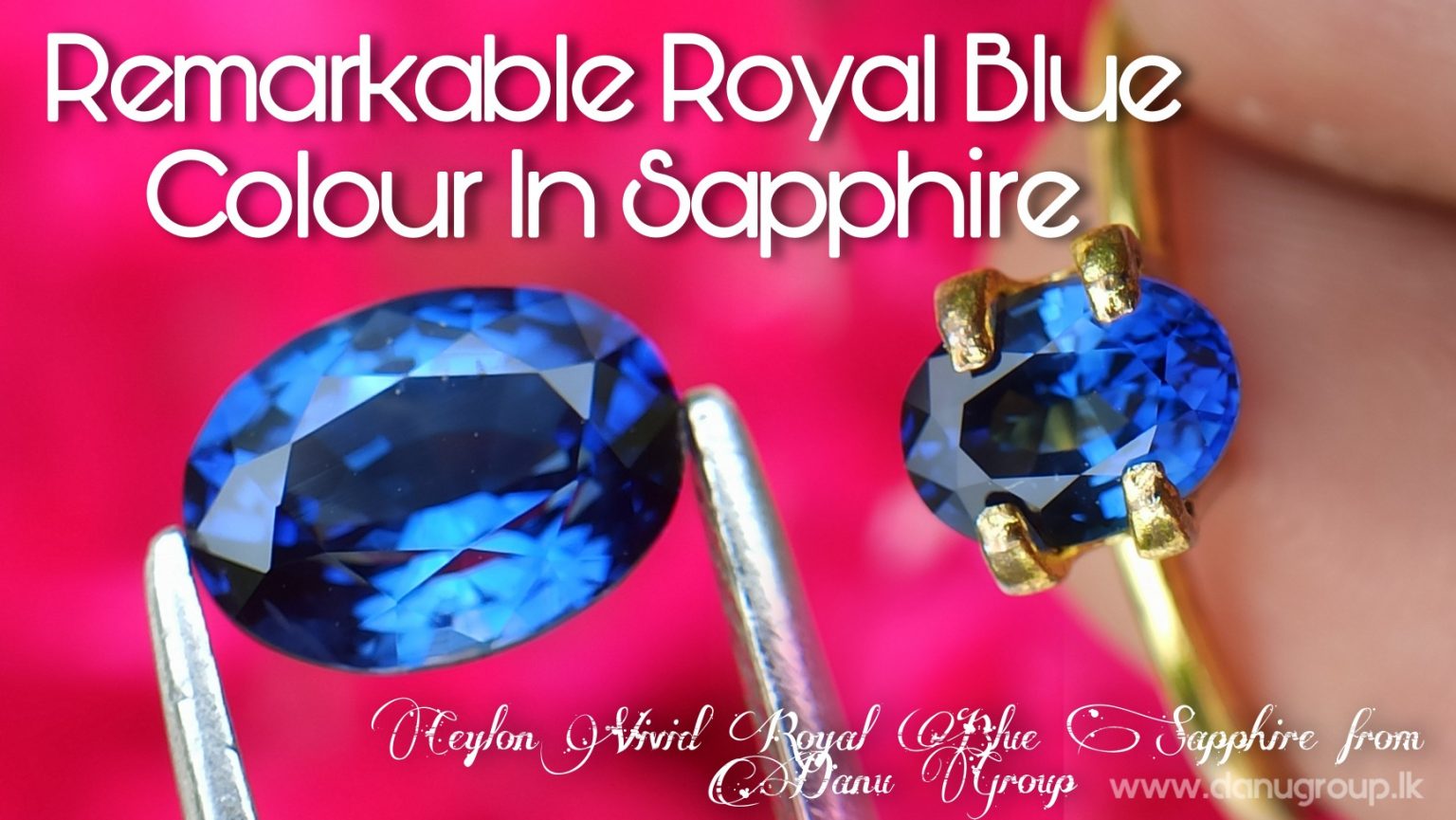 Remarkable Royal blue Colour in Sapphire - Vivid Royal Blue Sapphire Oval shape gem from Danu Group - danugroup.lk