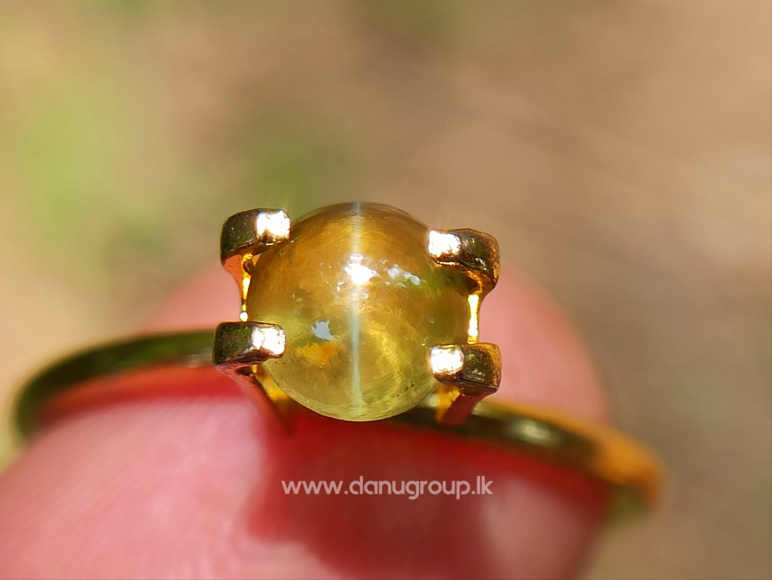 Ceylon Natural Chrysoberyl Cats eye from Danu Group