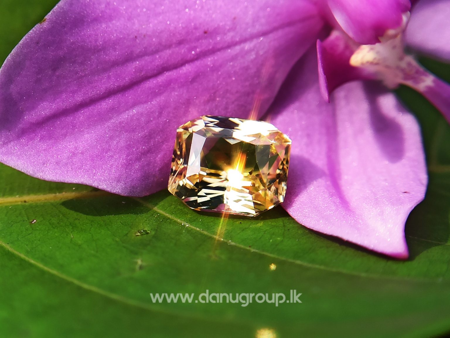 Ceylon Natural Vivid Yellow Sapphire Scissors Cut High Quality Gemstone with Brilliance Lustre - danugroup.lk