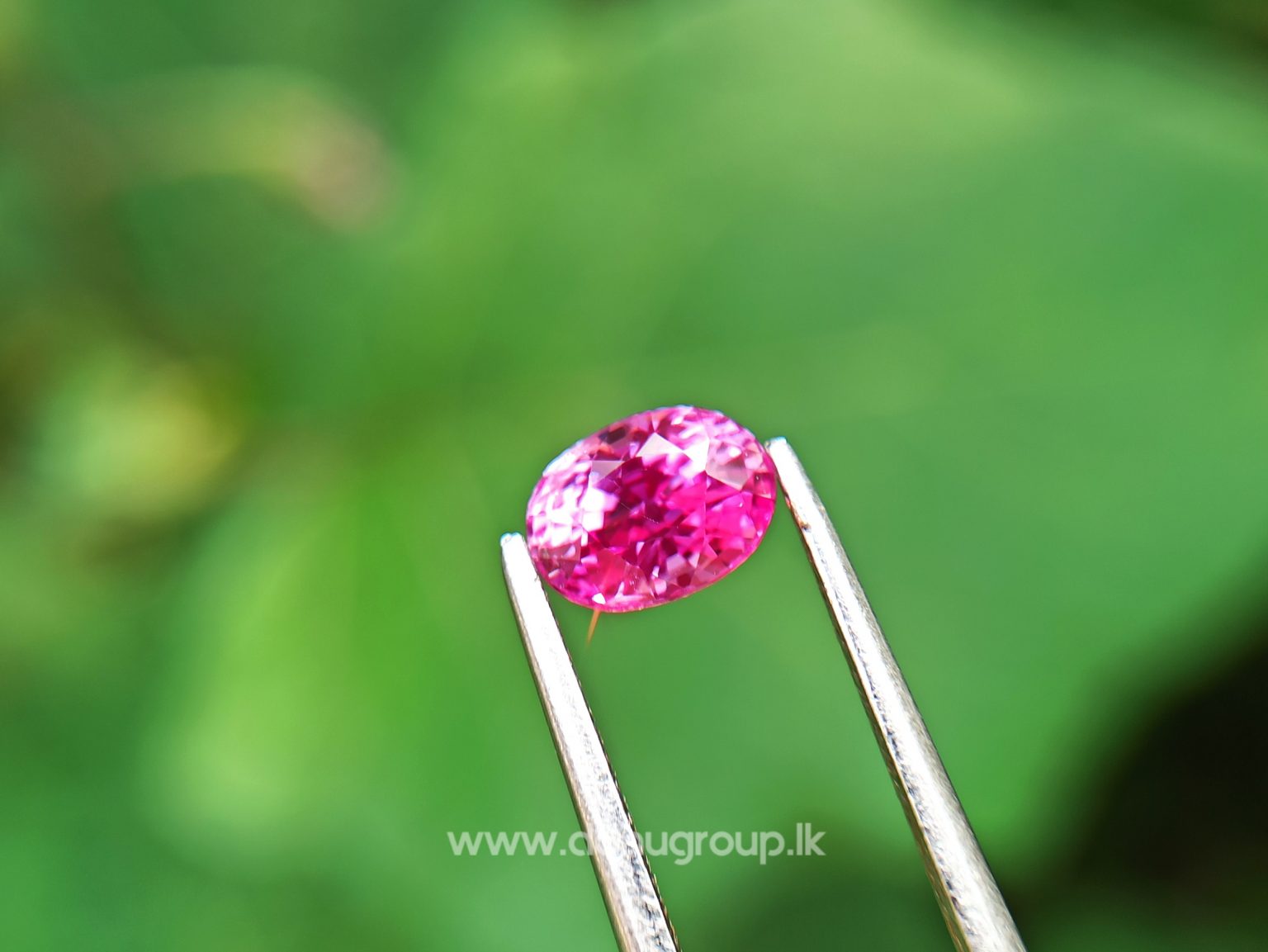 Remarkable Pink Colour In Ceylon Sapphire - Vivid Pink sapphire from Danu Group high quality ceylon sapphire - danugroup.lk