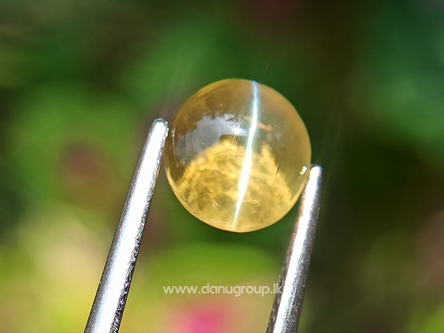 Ceylon Natural High Quality Chrysoberyl Cats Eye from Danu Group