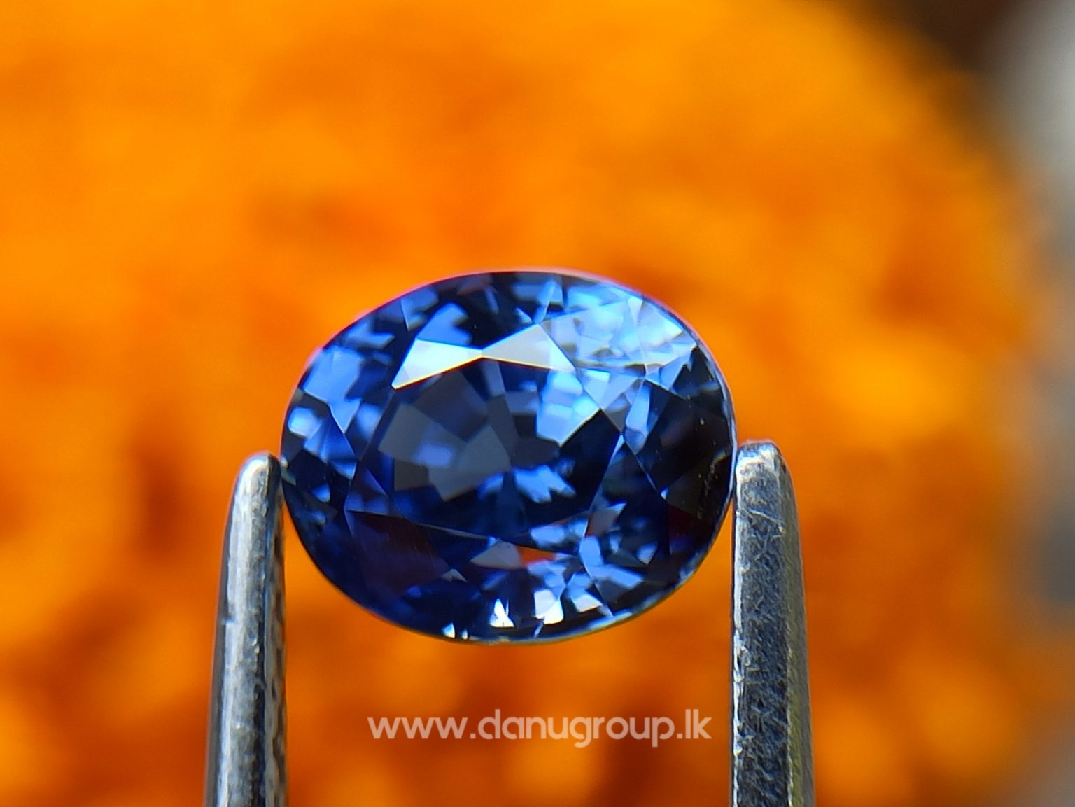 Ceylon Natural Vivid Blue Sapphire High Quality Blue Sapphire - danugroup.lk