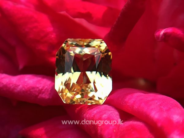Ceylon Natural Vivid Yellow Sapphire Scissors Cut High Quality Gemstone with Brilliance Lustre - danugroup.lk