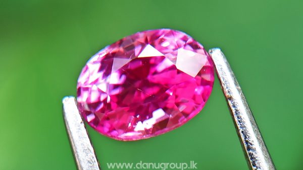 Remarkable Pink Colour In Ceylon Sapphire - Vivid Pink sapphire from Danu Group high quality ceylon sapphire - danugroup.lk