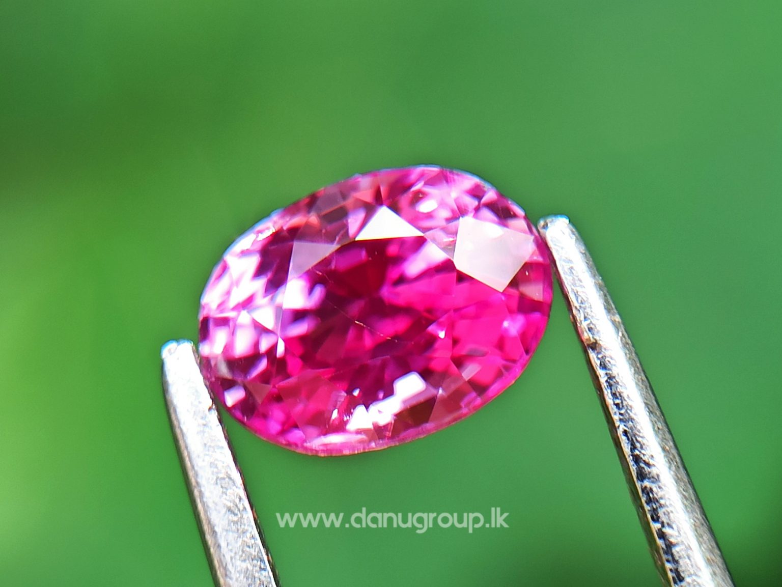 Remarkable Pink Colour In Ceylon Sapphire - Vivid Pink sapphire from Danu Group high quality ceylon sapphire - danugroup.lk