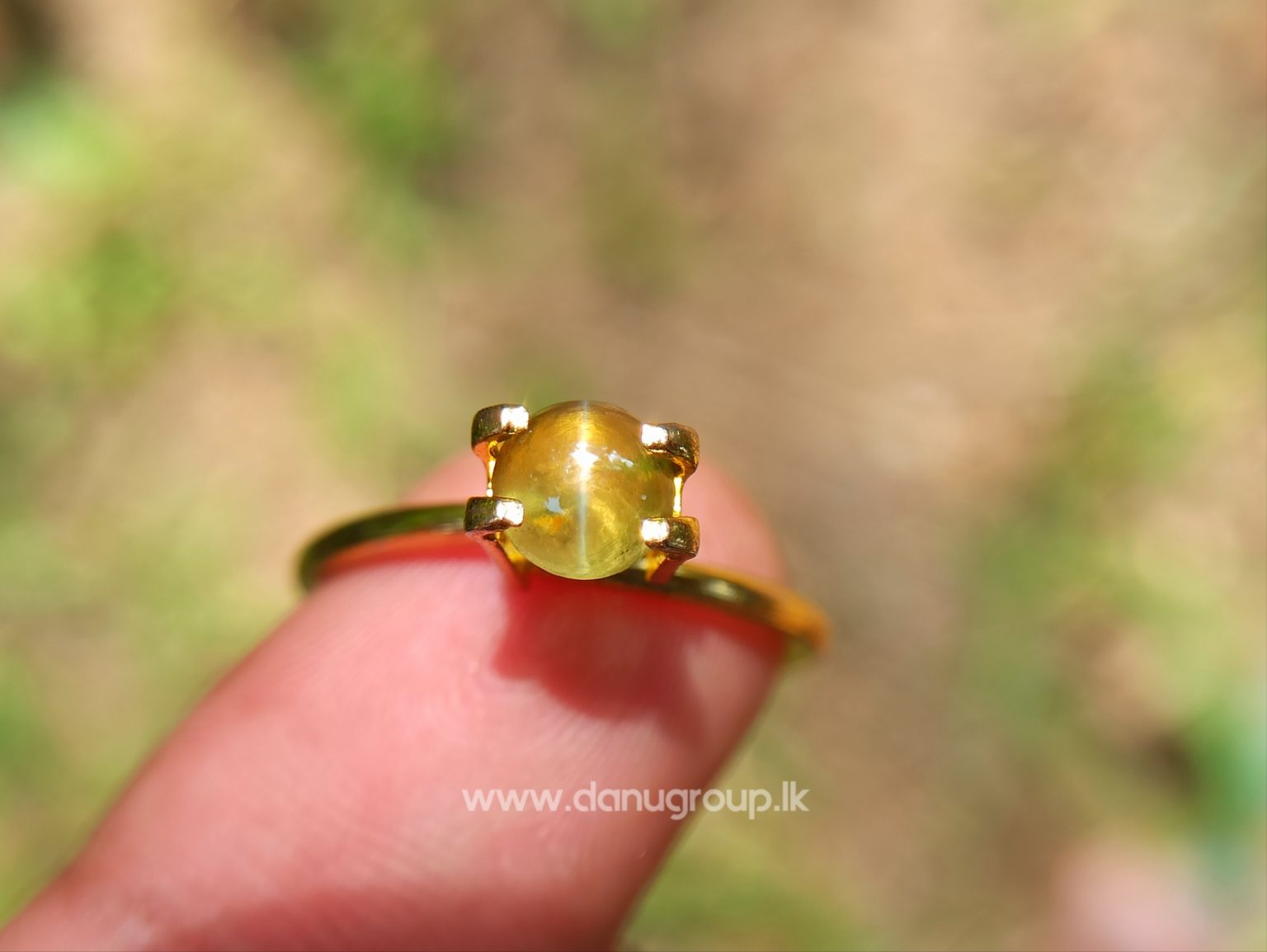 Ceylon Natural Chrysoberyl Cats eye from Danu Group
