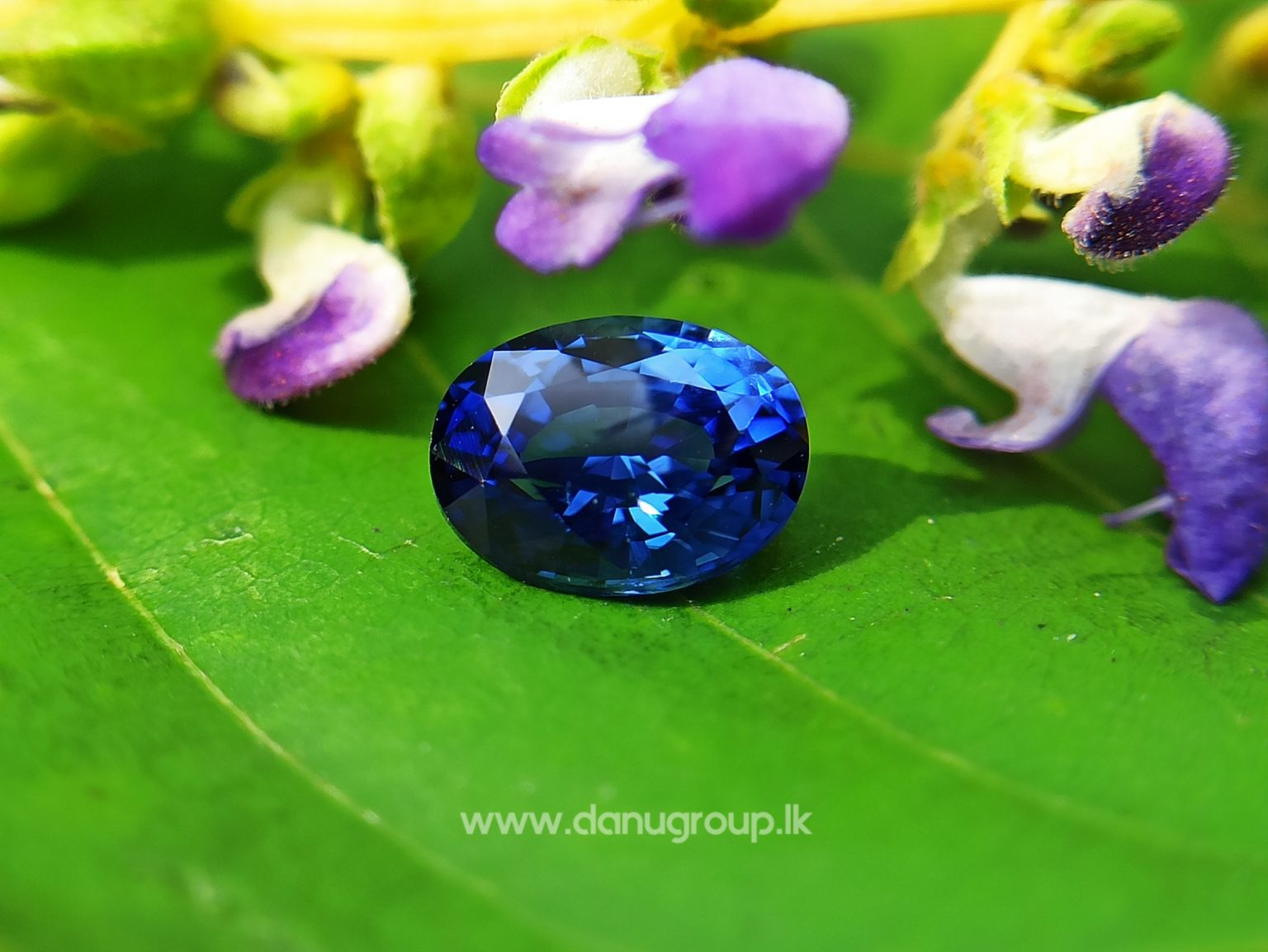 Remarkable Royal blue Colour in Sapphire - Vivid Royal Blue Sapphire Oval shape gem from Danu Group - danugroup.lk